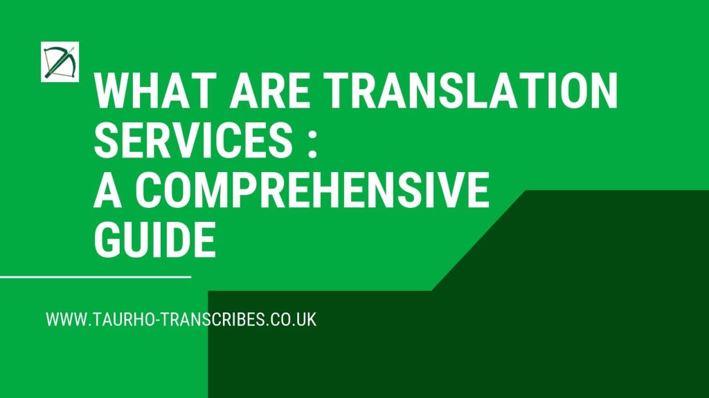 What Are Translation Services Image